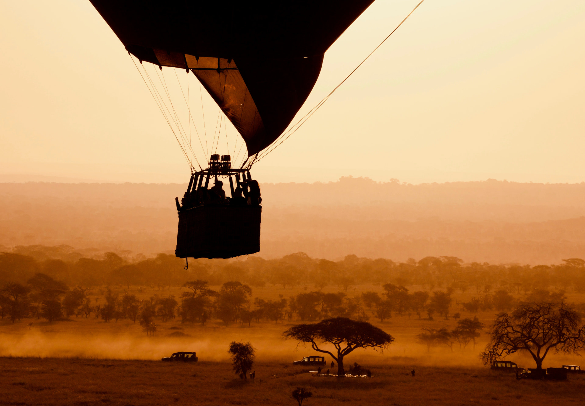 7 Days Classic Tanzania Safari — Tarangire National Park and Serengeti National Park