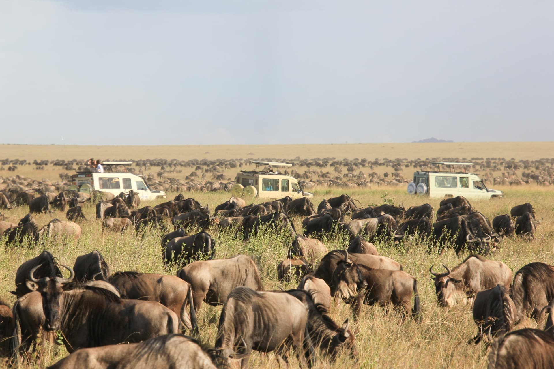 10 Days Tanzania Family Adventure — Arusha National Park and Tarangire National Park