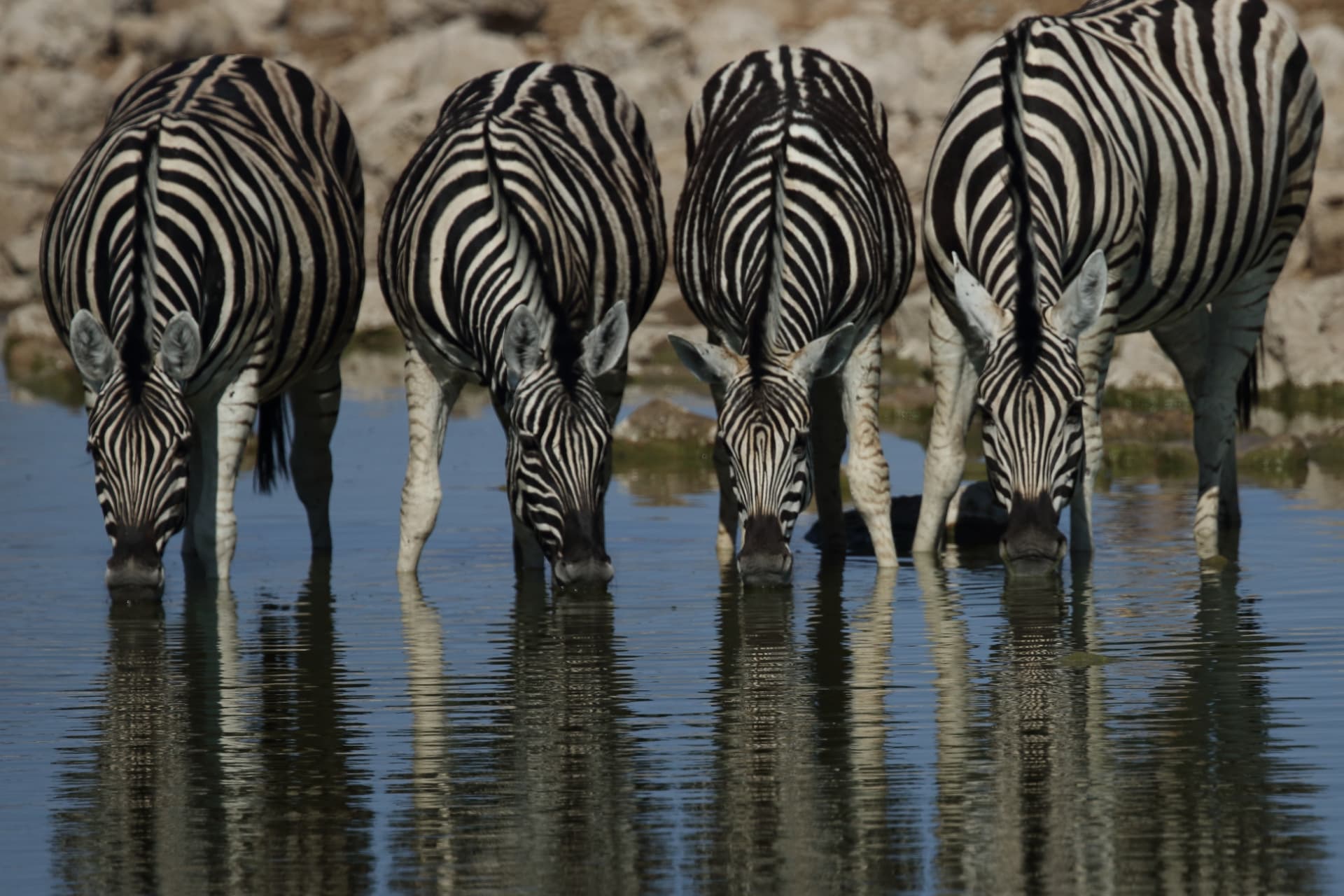 Lake Eyasi, Northern Tanzania